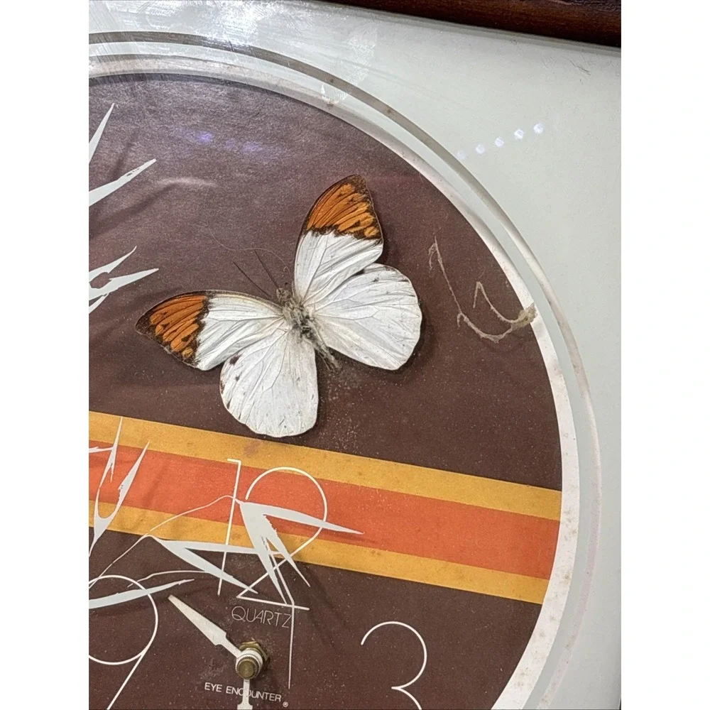 Vintage MCM Eye Encounter Butterfly 14